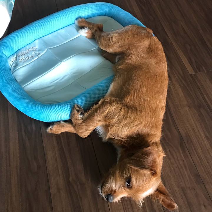 34a0c4a0 27dd 460f 91a4 374ae6150a40 1530601217505