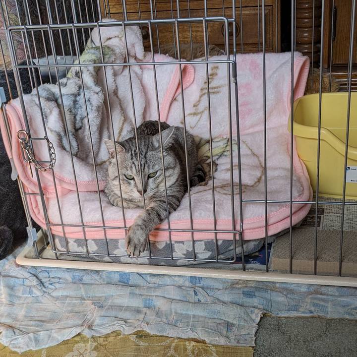 34a0c8d9 1616 4d69 9b4c acae8da60b84 1713133515963