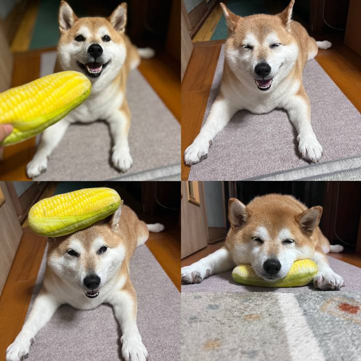 34a0d30f 2091 4ce3 bed4 1cefda5a2b61 1686737015522