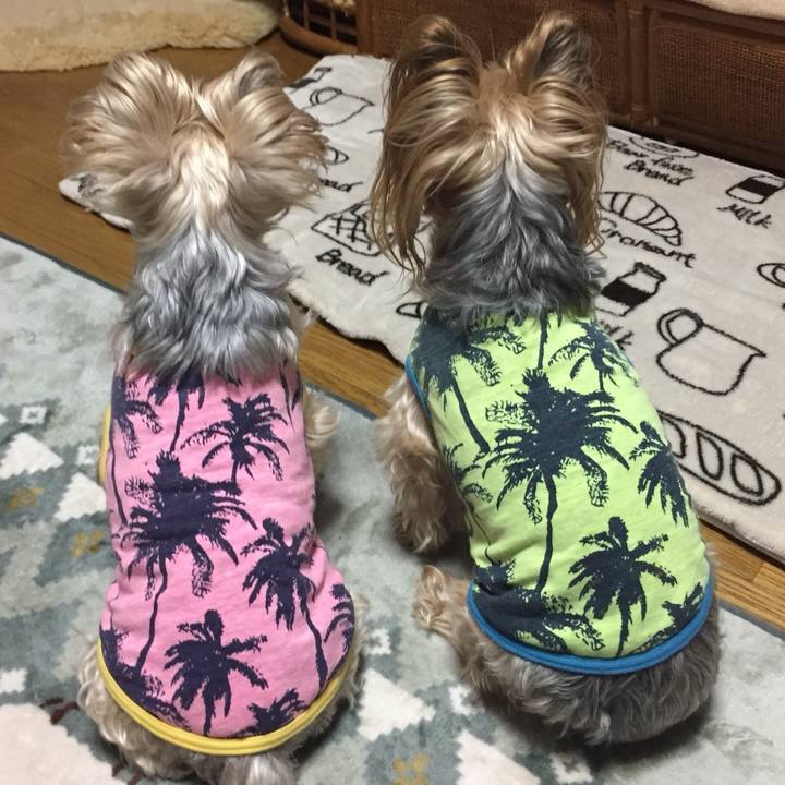 34a0f73b 5378 4eb4 8f5d 8892b4196e2a 1545191506736