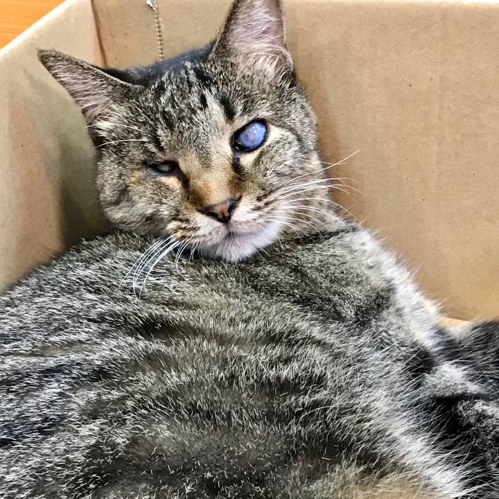 34a0fd5f c866 4f3c add5 1a10704dcca7 1600483953305