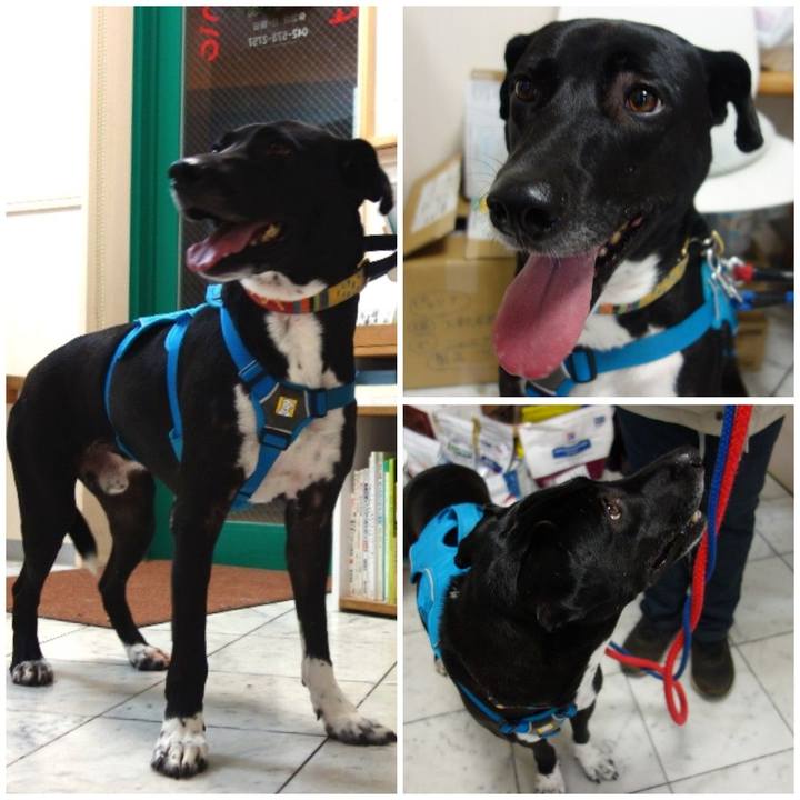 34a11269 3724 4b59 988f d8bfd2ade8a8 1608806598111