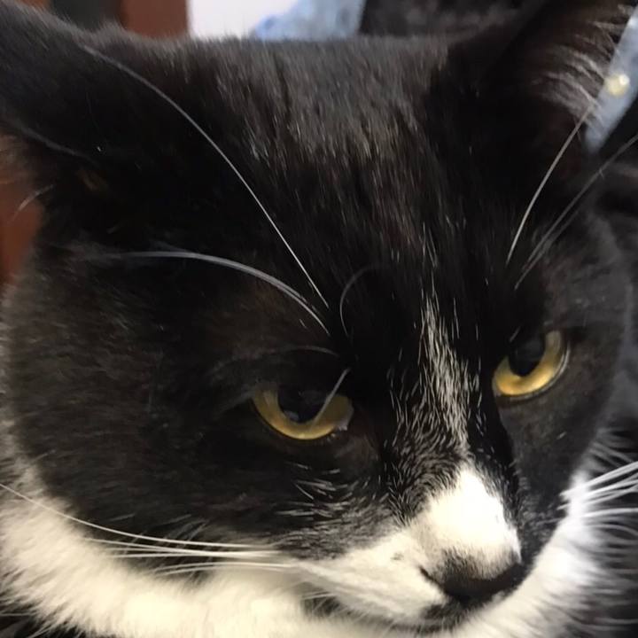 34a119fd a15f 4c2b a153 98893c49aaf1 1614399940173