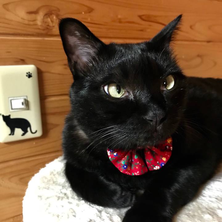 34a11bab a246 4d43 a611 35329712298b 1527932045440