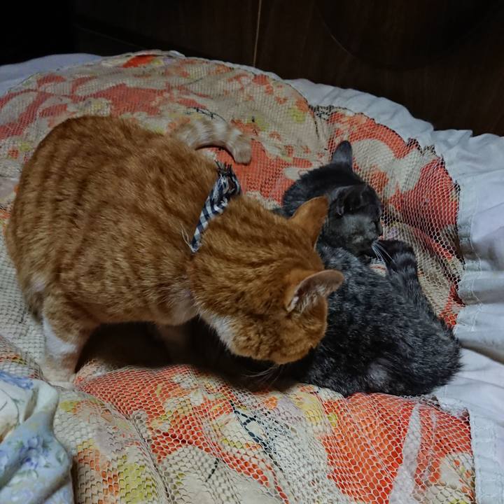 34a11d87 1ce4 4646 8519 acb521bc0530 1573909215609