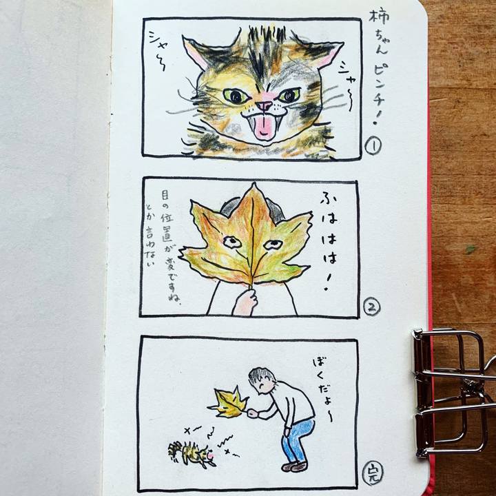 34a1409f 6dc9 4db6 9915 9b22186ae75d 1699847391019