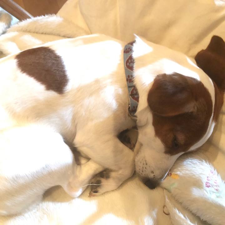 34a19fbf 5d5a 4179 94a0 50a8c0bd815e 1558439302395