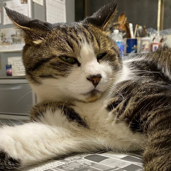 34a2221f 6a3b 4ce6 b13c 485b979a42ff 1595678118369