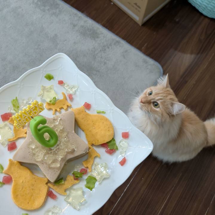 34a22d90 a5ff 4574 baf5 43137ce0ed6f 1744363978704