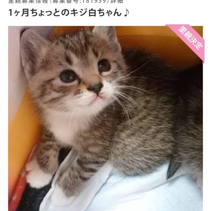 34a25274 f628 4c01 a26e c8f215577cf9 1732432355271