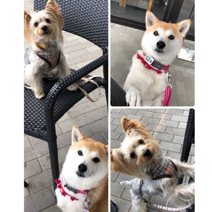 34a26fa8 36a5 439b beb1 3477d6244785 1636099869016