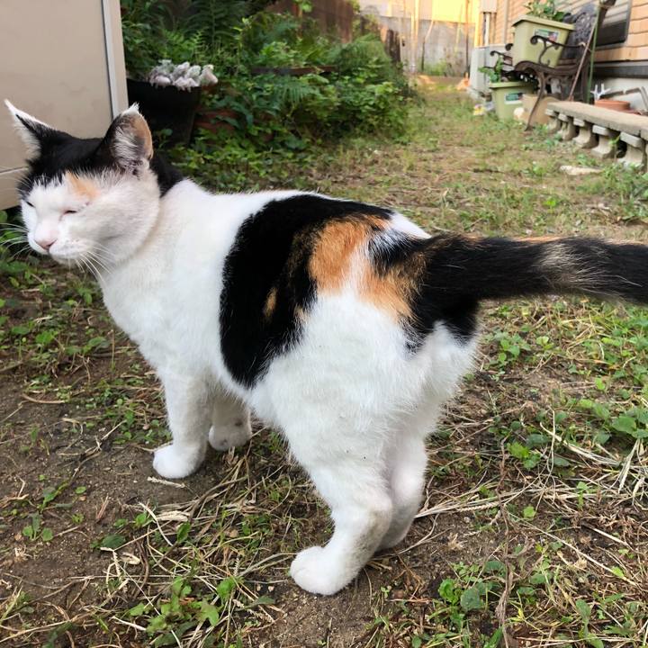 34a2a7f8 5a4d 4f97 9ac4 d3ca154bf001 1600812827951