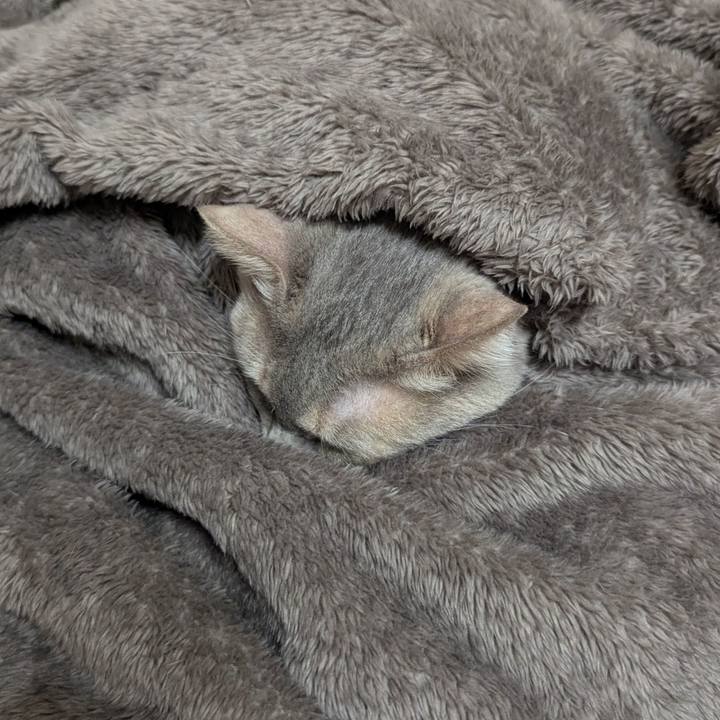 34a33d05 a5ec 462c a421 87b7b3dbbeac 1742356276943