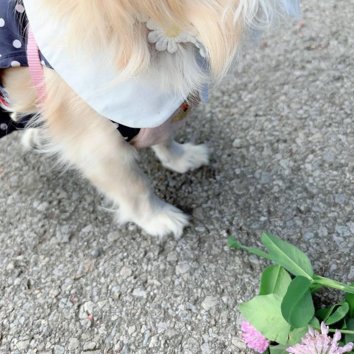 34a37279 f0a8 4845 8de5 6ac50b87d360 1713680658015