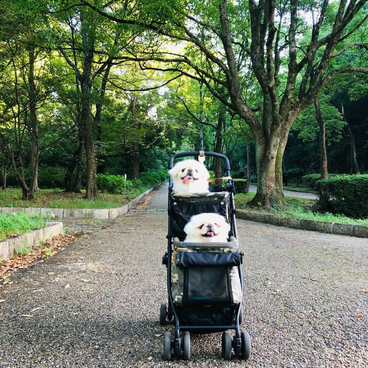 34a38a56 870e 46d5 89e8 baea6e46df37 1627341233306