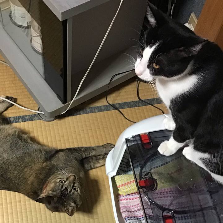 34a3a1a8 639e 45cb b3b6 5d5139cadade 1636278526668