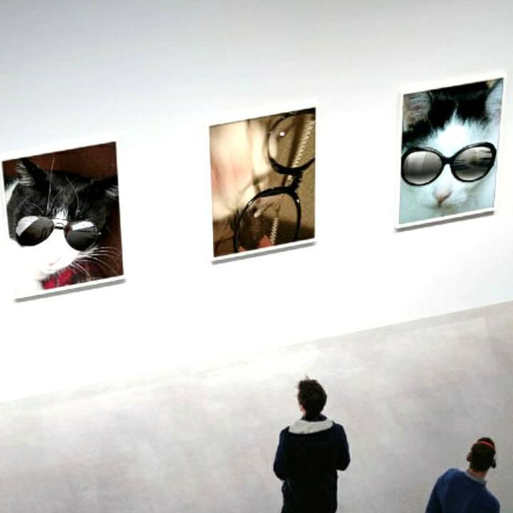 34a3b6b2 df0f 42c4 93e7 6ecc52e4b014 1554386960044