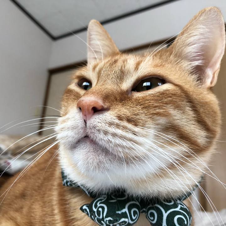 34a3f3cb 431d 4a91 8360 b85dbe59216b 1577834620922