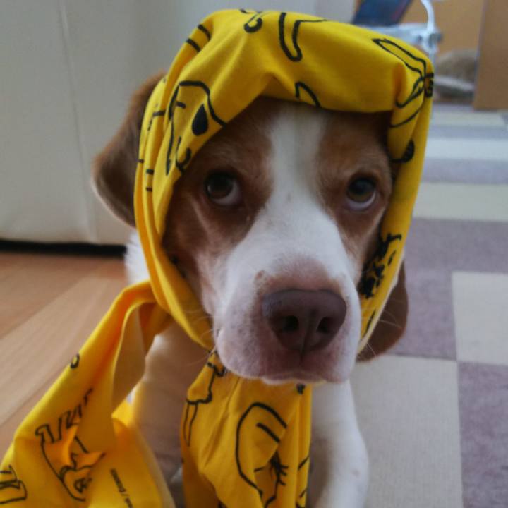 34a3f6cf 11c6 4dce 9e93 89f1e198fcfd 1629344764330