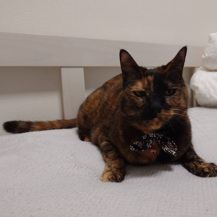 34a3f707 23f7 4ef2 a150 f612b1e3bb99 1743427992855