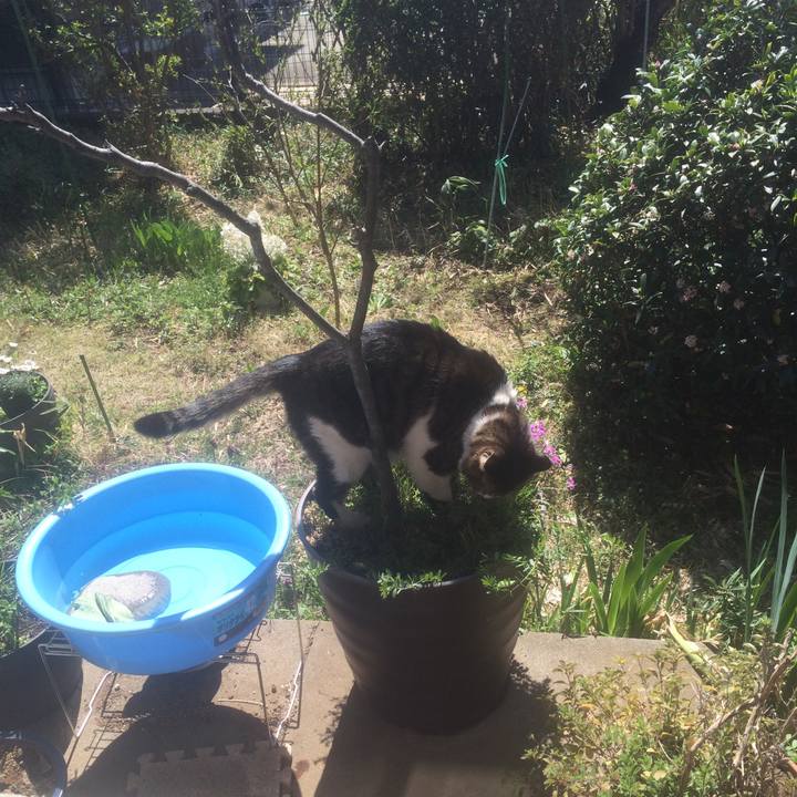 34a4192d c7f1 4e88 bc8b 8a9f70e1c9b5 1554168323272