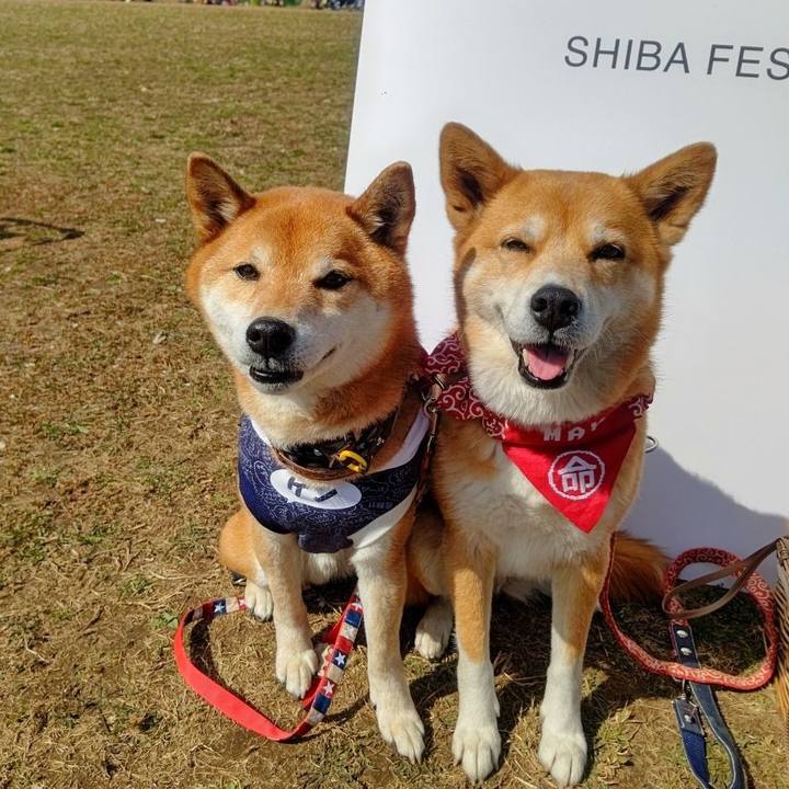 34a46365 fc30 4677 8297 753208dbbc83 1646658568746