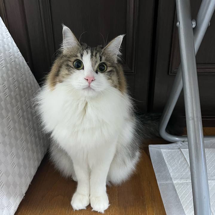 34a46606 6d1e 48e2 97de de492921af57 1738582125278