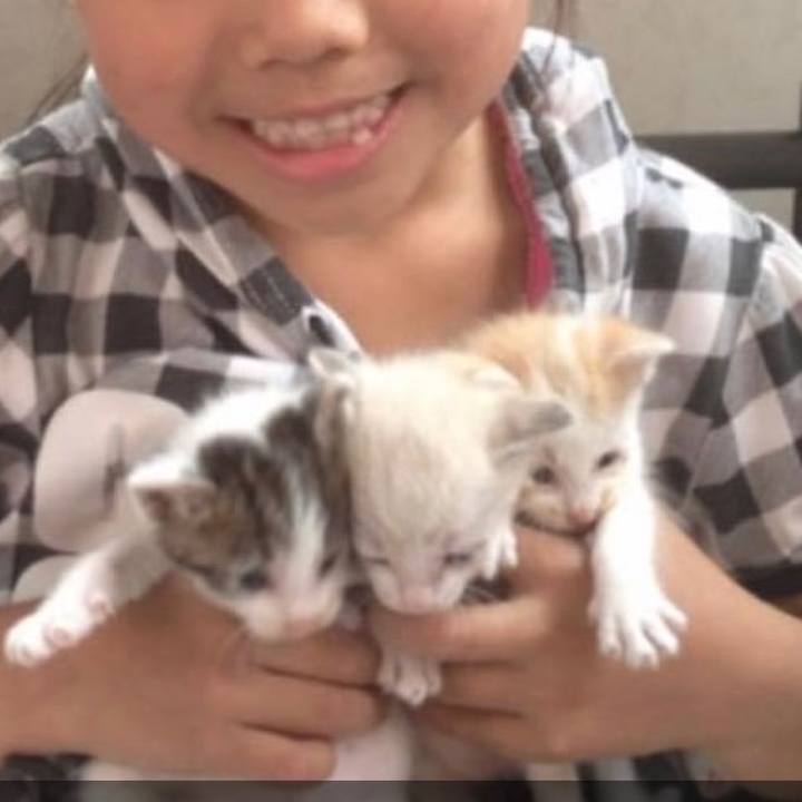 34a476fb 7694 46f3 b0a5 711591b0c6d5 1620182662105