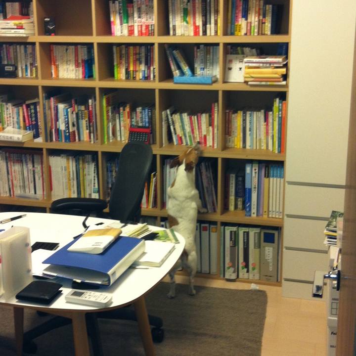 34a4b055 0b5d 43c4 a15e 795ec3cf6932 1529887594395