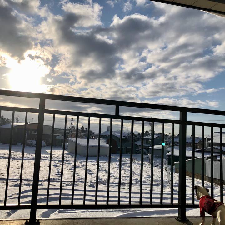 34a4bf91 e4f2 43e1 8c6d 1d3a721a3822 1575068908832