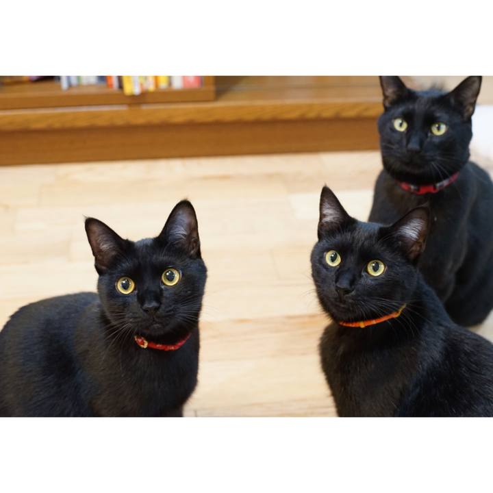 34a4dd89 e182 431a 82a1 869ec2504bb0 1521812885170