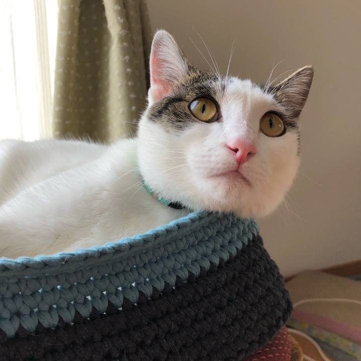 34a51b7e a48a 4b36 bfee e85a1e2984ed 1591776465160