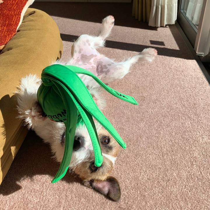 34a532d0 6599 471e b014 e461e96b347b 1582002551053