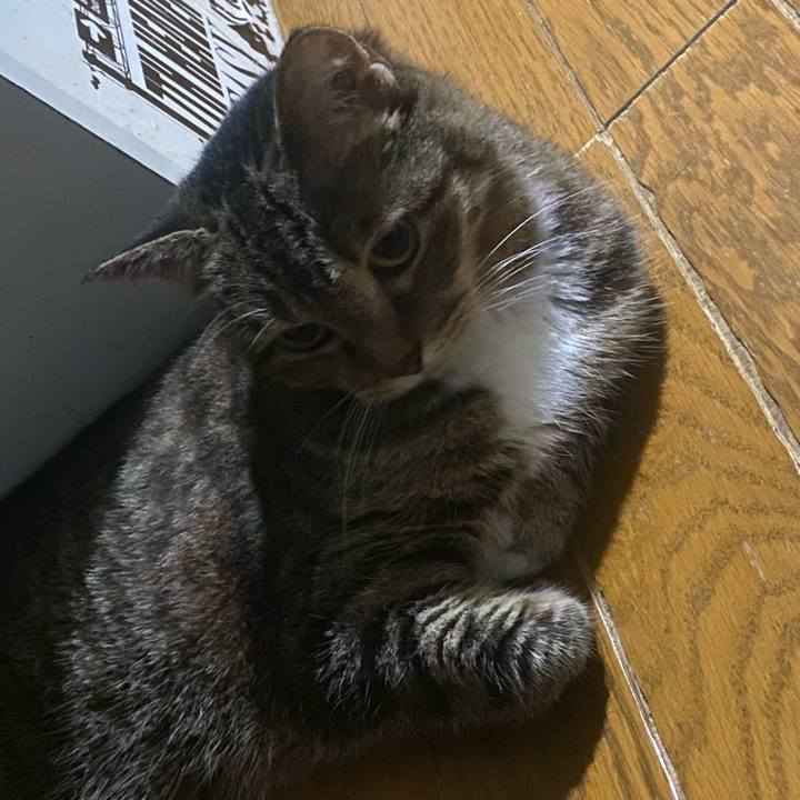 34a53a0c 7ddb 4bfb b566 9730f4009bb2 1756051521792