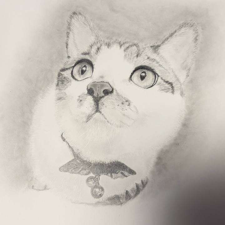 34a57171 0fc1 4726 929a efa71b00c6cb 1764831333320