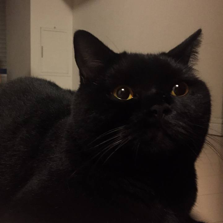 34a5de95 a4e1 42be b9fe 43fb1124477c 1536587066454