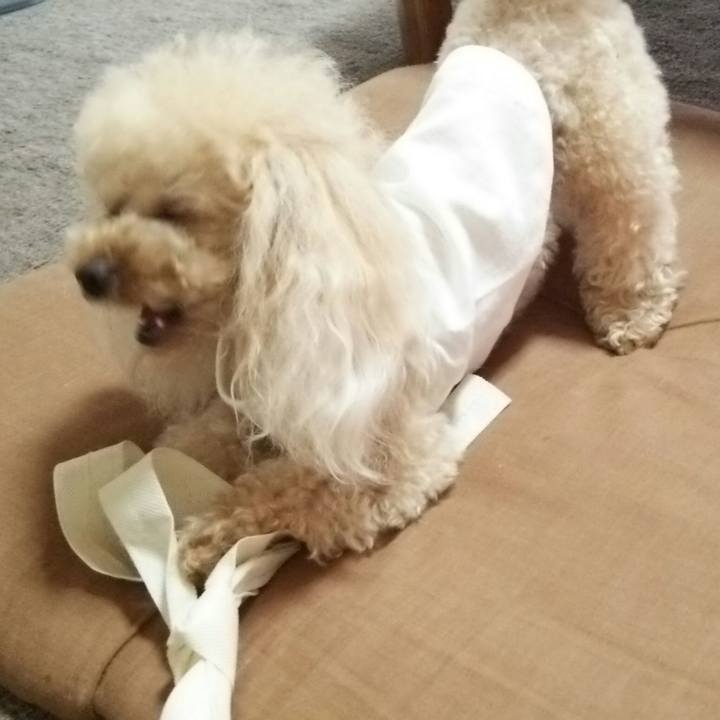 34a5df63 3d0d 4d56 91ef 9069eef4f209 1531989840055