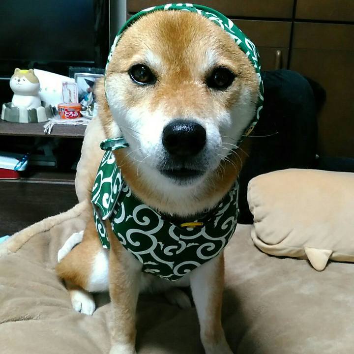 34a5e17d 3253 4e62 8db8 fec7e213b5ff 1562595023044