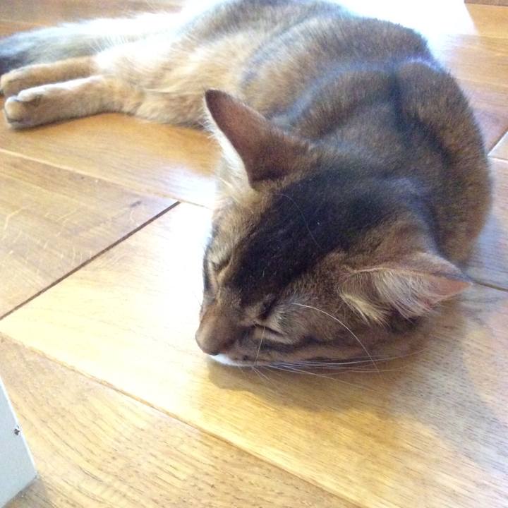 34a5faf3 8984 4350 81c8 9a144fd59b22 1565147609848