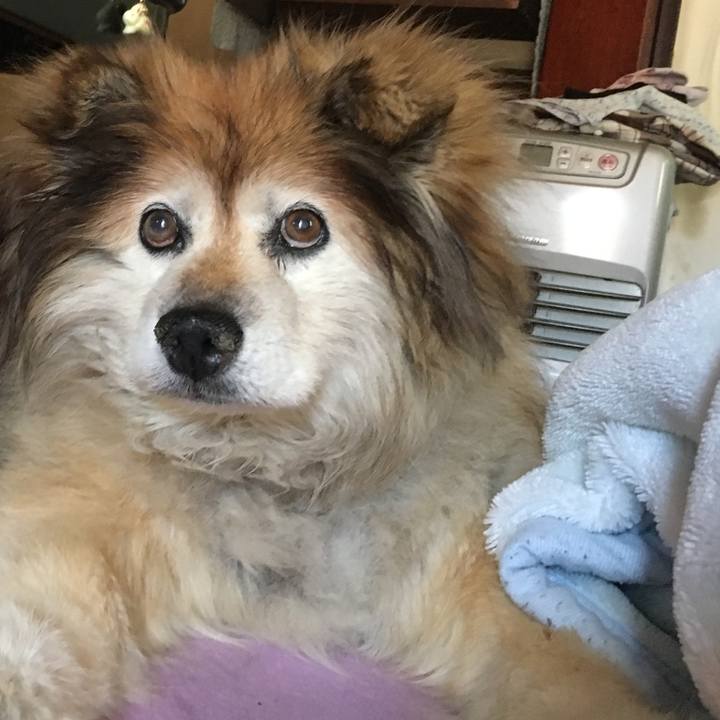 34a632c3 87b0 46b5 9119 8da75cd01d4c 1602552171410