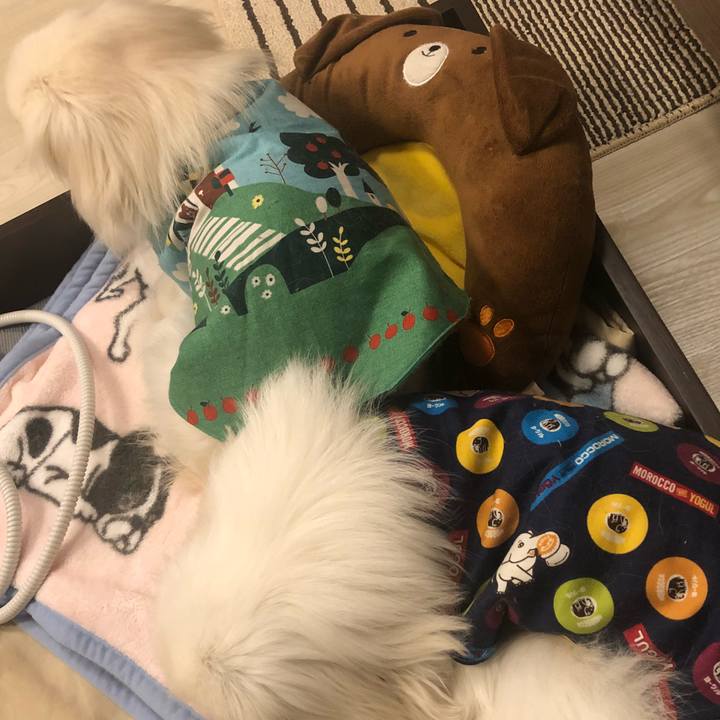 34a63966 3e86 4b52 962b b3603c7314c9 1547196888564