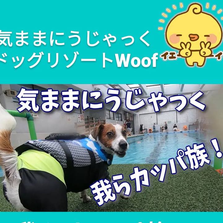 34a64899 1ac3 4710 9fc4 b1cee3a15a1f 1662117761088