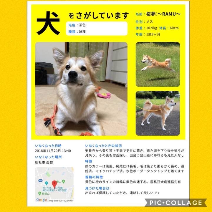 34a68218 1780 45f6 b2c4 9441a08ef484 1542806047398