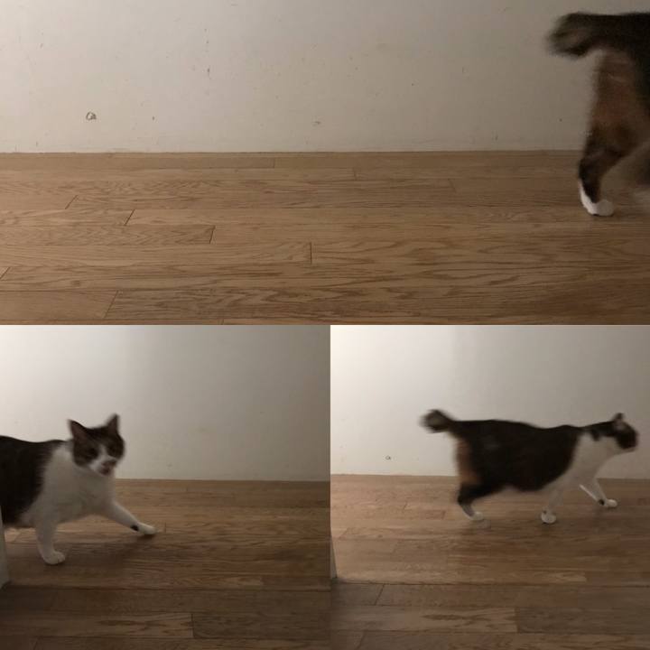 34a688bd 8f70 4271 9714 1e7005648960 1575804551917