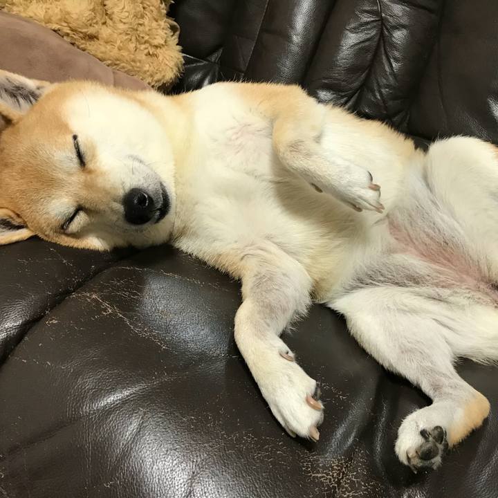 34a6bf15 dc34 4673 b2d9 1d6bb78e0b89 1508990535840