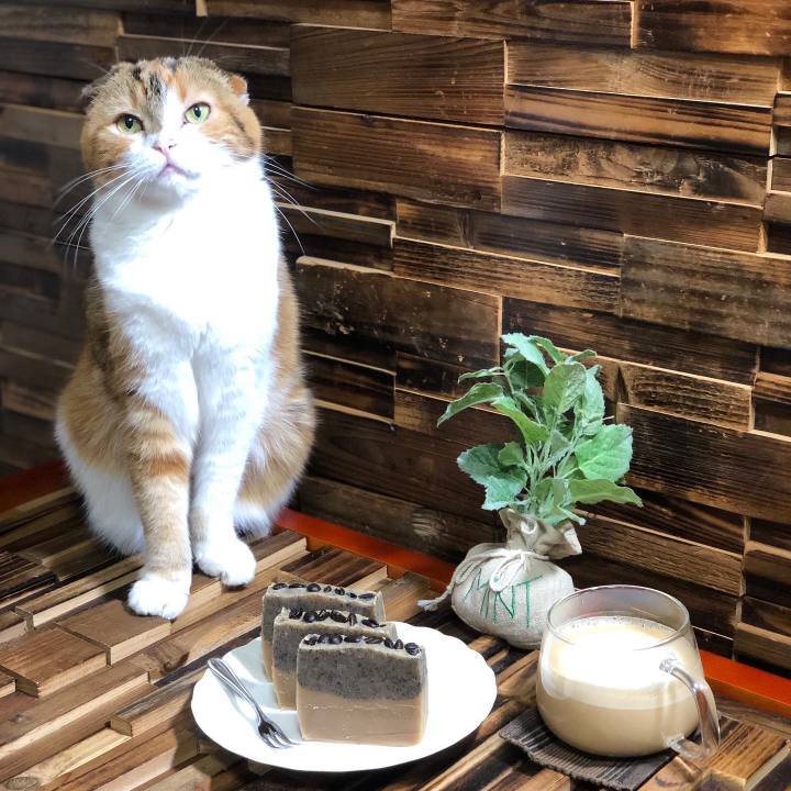 34a6c892 600f 4ae5 b8ff 2f55ed661642 1637543284647