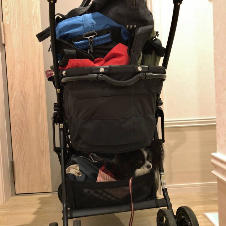 34a6f0c6 4417 43f8 8c64 81880b1a1f3c 1537604731452