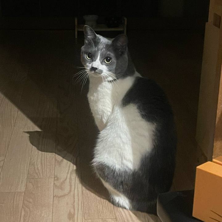 34a6ffe0 e4d2 42fa 9a55 4deb85fa010f 1738948348781