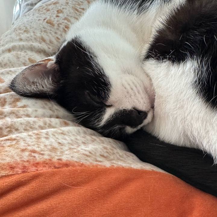 34a7024a 3f92 4aed a1d7 690f199e8be1 1765926979496