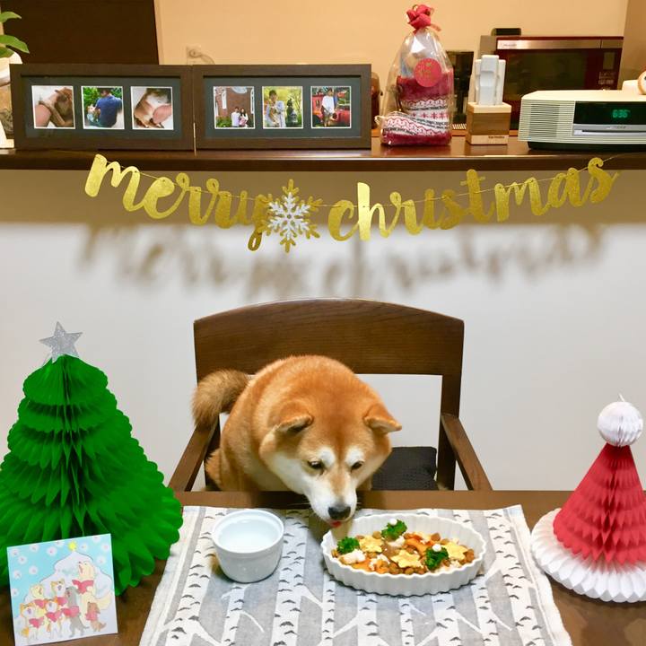 34a70bca e379 4c74 9267 7cad6e7468d2 1577196750495